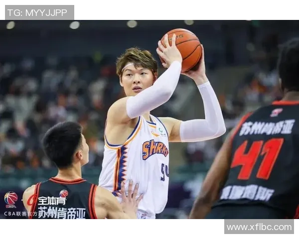 王哲林领衔中国篮球新篇章展现实力与风采的崛起之路