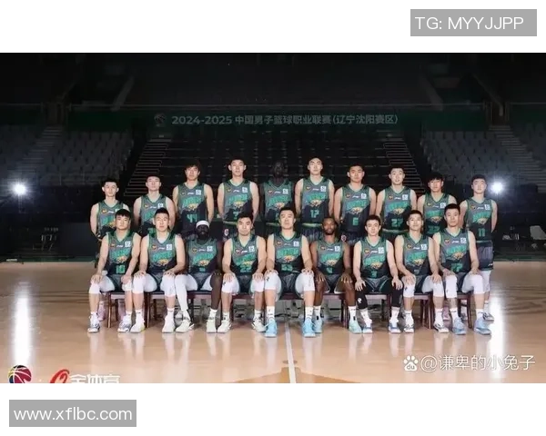 辽篮对阵四川的精彩对决揭示了CBA季后赛的激烈竞争与球队实力的较量